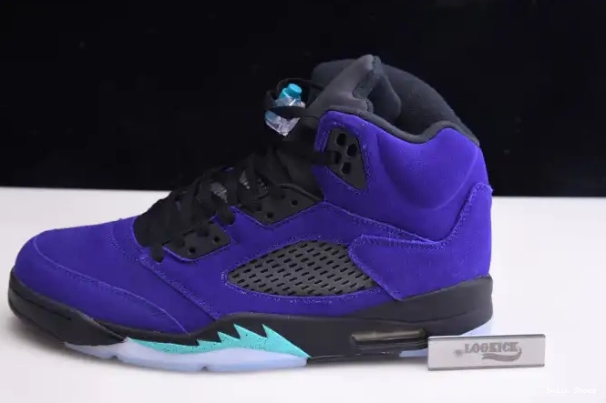 Bmlin Air 5 Jordan Alternate Retro 136027-500 Grape 0624
